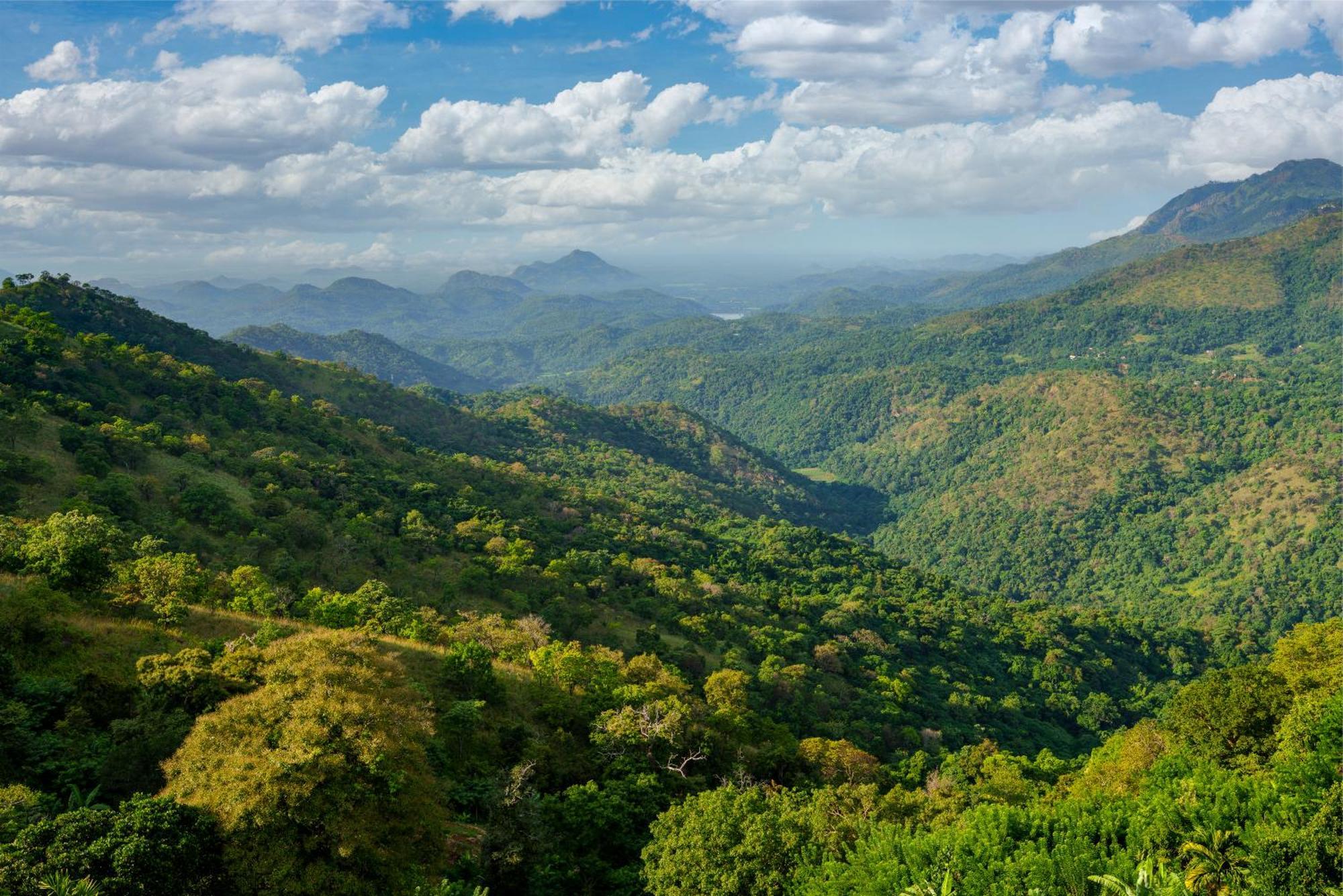 Majentra Ella Exterior foto