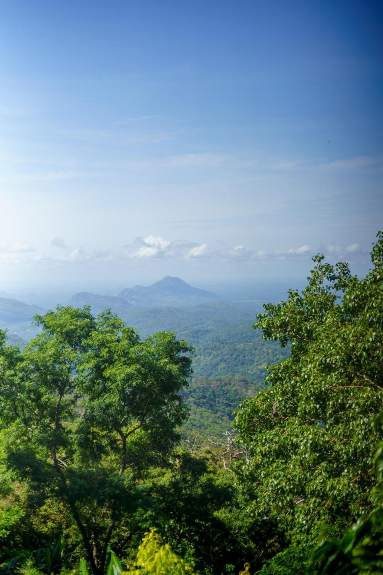 Majentra Ella Exterior foto